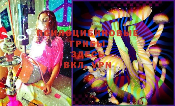 прущая мука Горняк