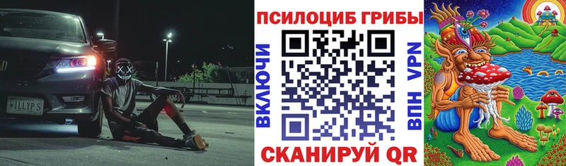 Псилоцибиновые грибы MAGIC MUSHROOMS Каспийск